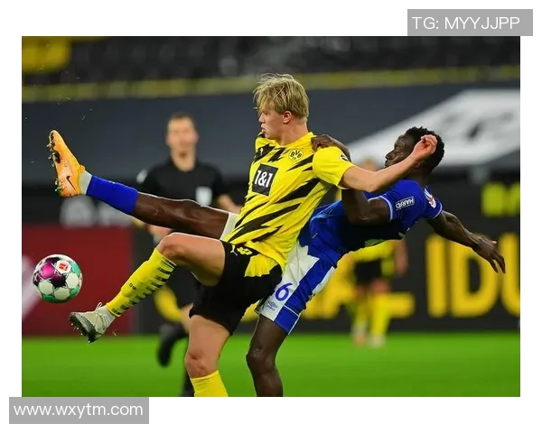 沙尔克04德甲大获全胜,势不可挡蝉联德甲冠军!